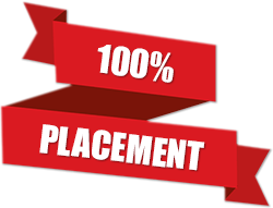 100% Placement 100% Placement